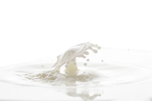 Πτώση Από Σταγόνες Λευκού Γάλακτος Λευκό Φόντο — Φωτογραφία Αρχείου