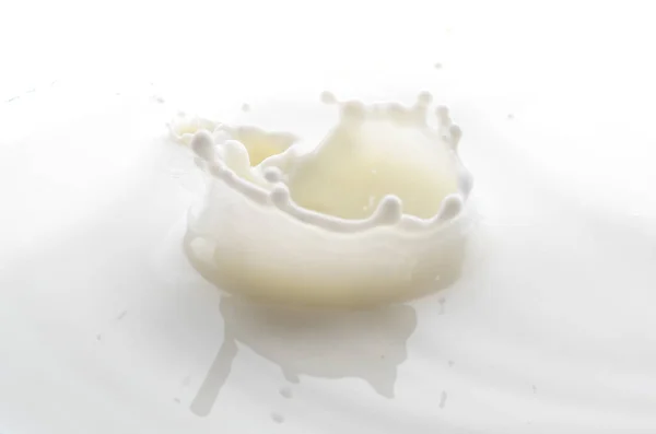 Beyaz Bir Arka Plan Üzerinde Beyaz Süt Düşen Damla Sıçrama — Stok fotoğraf