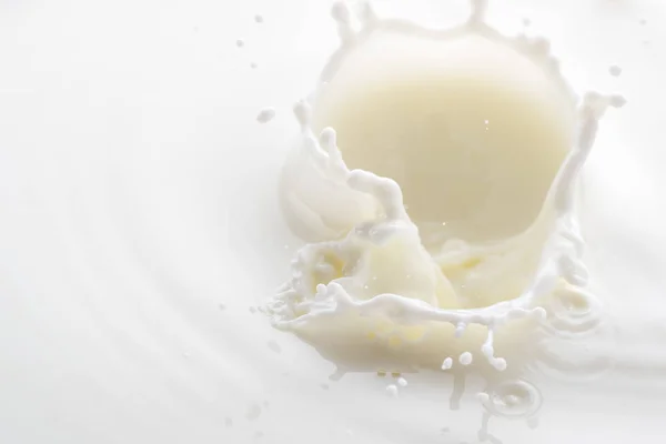 从白牛奶滴落在白色背景上飞溅 — 图库照片