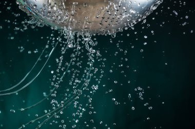 Karanlık bir arka plan üzerinde bir kevgir delikleri ile akış ve su damlaları