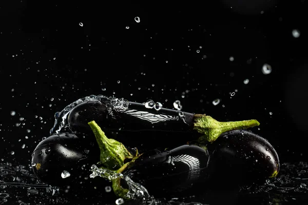 Eggplant on a black background with drops and splashes of water