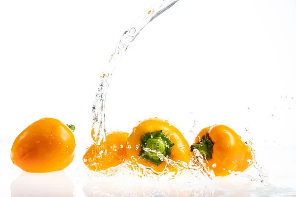 Sweet Peppers White Background Drops Splashes Water — Stock Photo, Image