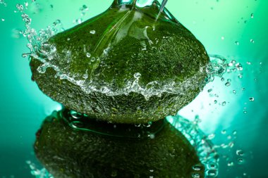 tüm avokado gradyan arka planda su sıçrama ile