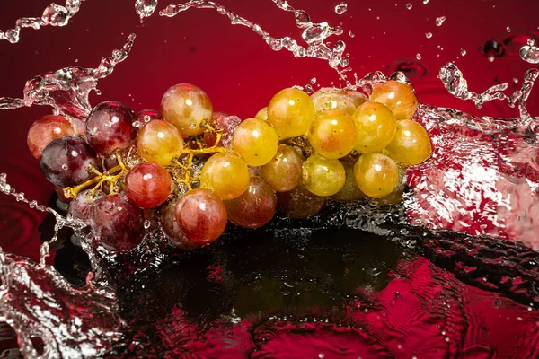 Globo Vermelho Uvas Doces Ramo Fundo Gradiente Com Reflexão — Fotografia de Stock