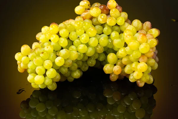 Zoete Rozijnen Druiven Een Tak Een Gradiënt Achtergrond Met Reflectie — Stockfoto