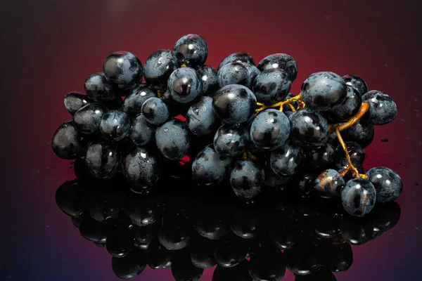 Donkerblauwe Druiven Een Tak Een Hellende Achtergrond Met Reflectie — Stockfoto