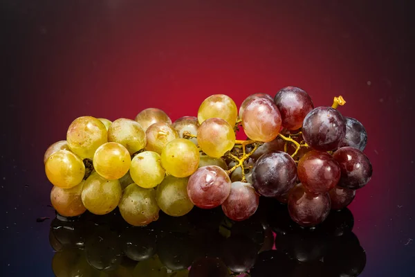 sweet grapes red globe on a branch on a gradient background with reflection