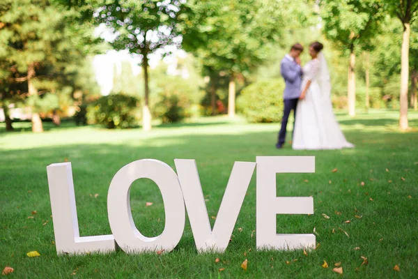 Palavra Amor Letras Brancas Grandes Grama Verde Parque Com Fundo — Fotografia de Stock