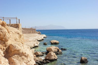 Mercan kayalar denize gitmek