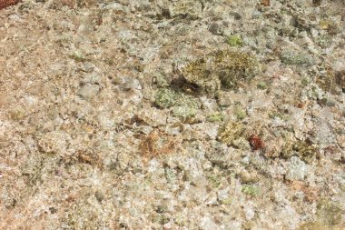 Deniz tabanı yakın