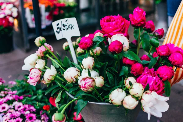 Pünkösdi rózsa értékesítése az Európai virágpiacon Jogdíjmentes Stock Képek