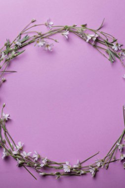 Mutlu anneler günü, kadınlar günü, Sevgililer günü. Çerçeve pembe bir arka plan üzerinde beyaz küçük çiçek. Düz yatıyordu, en iyi görünüm, kopya alanı