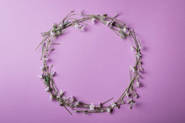 Mutlu anneler günü, kadınlar günü, Sevgililer günü. Çerçeve pembe bir arka plan üzerinde beyaz küçük çiçek. Düz yatıyordu, en iyi görünüm, kopya alanı