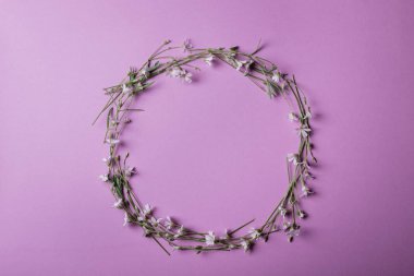 Mutlu anneler günü, kadınlar günü, Sevgililer günü. Çerçeve pembe bir arka plan üzerinde beyaz küçük çiçek. Düz yatıyordu, en iyi görünüm, kopya alanı