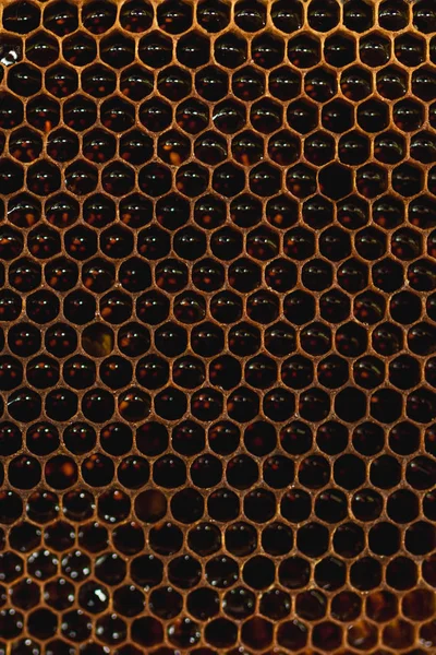 背景六角形テクスチャ ミツバチの巣箱からワックス ハニカムは 黄金の蜂蜜でいっぱい ハニカム 黄色い蜂の巣から甘い蜂蜜 蜂蜂の巣の蜜を蜂蜜します クローズ アップ — ストック写真