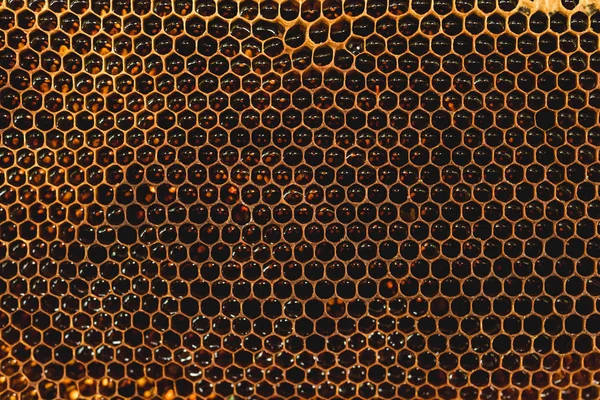 背景六角纹理 蜡蜂窝从一个蜂蜂巢充满金色蜂蜜 蜂巢里的黄色甜蜂蜜蜂蜜花蜜的蜜蜂蜂窝 — 图库照片