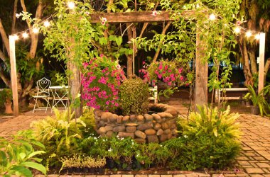 Taş su gece bahçede de. Birçok bitki su çevresinde de vardır. Dekore edilmiş ışık vardır.