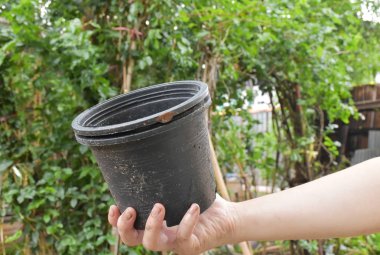 Saksı odak arka plan bulanık ağaçlar olduğunu kirli sağ tarafından düzenlenmektedir