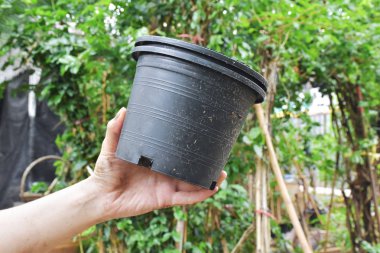Saksı odak arka plan bulanık ağaçlar olduğunu kirli sol elle tutulur