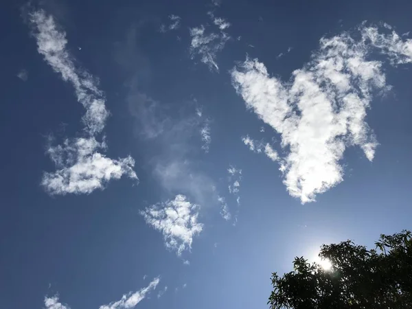 Der Blaue Himmel Mit Einigen Könnte Gibt Eine Baumsilhouette Die — Stockfoto