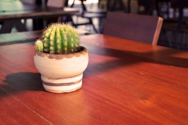 Restoran sabahları ahşap tablo tencerede bir kaktüs. Kopyalama alanı metin için.