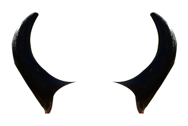 Beyaz arka planda birkaç siyah boynuz. Bufalo boynuzları, öküz boynuzu, sevgili boynuz. Bu bir hayvan silahı..