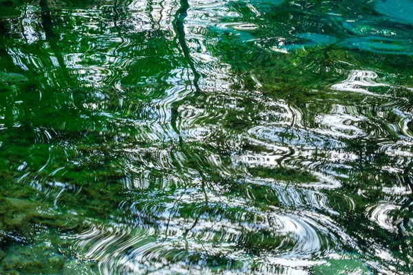 Spiegelung von Ästen im Wasser. Abstraktion — Stockfoto