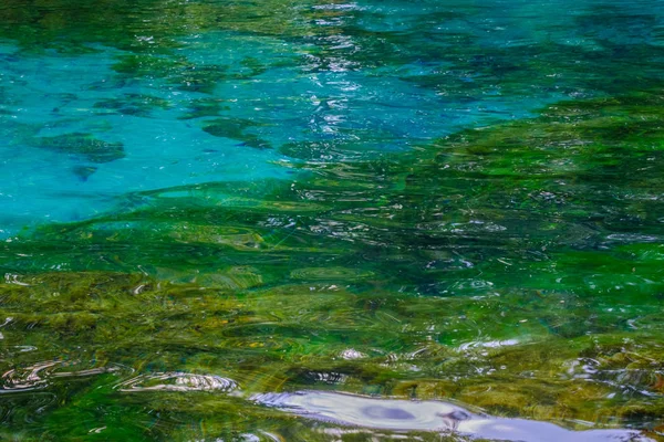 Reflejo de ramas en el agua. Abstracción — Foto de Stock