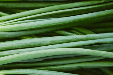 Yakın çekim tarağı. mutfakta taze yeşil Tazelik pişirmeye hazır. taze yeşil soğan ağacı yaprakları, Taze soğan.