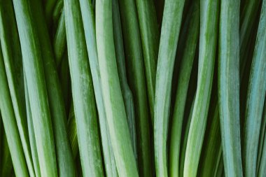 Taze Taze Taze Likit'in doku arka planı. Güneş ışığında yeşil soğan yapraklarıyakın çekim
