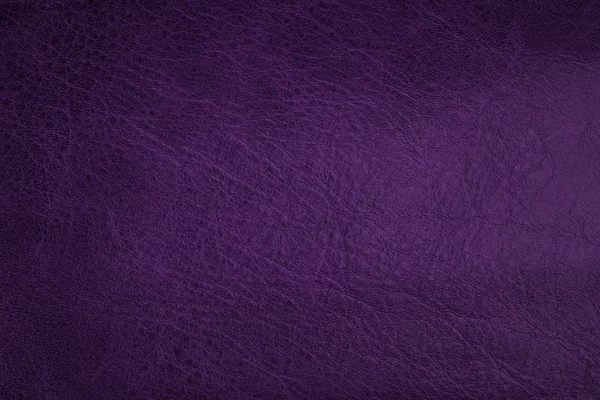 Weathered leather texture in purple tone. Abstract background and texture for design and ideas. — Stock Photo, Image