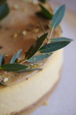 Okaliptüs sprigs ile dekore cheesecake. Close.