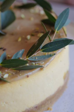 Okaliptüs sprigs ile dekore cheesecake. Close.
