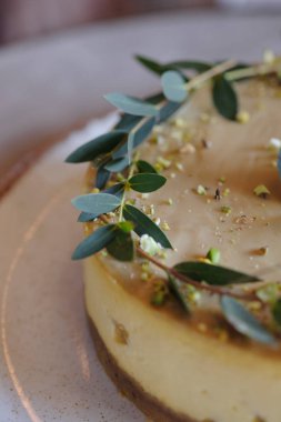 Okaliptüs sprigs ile dekore cheesecake. Close.