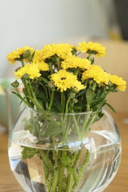 Masaüzerinde yuvarlak cam vazo renkli sarı ve turuncu krizantem çiçek