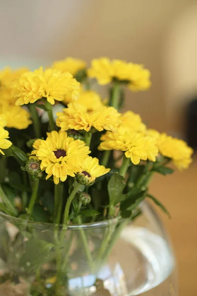 Барвиста жовта і помаранчева квітка хризантеми в круглій скляній вазі на столі — стокове фото