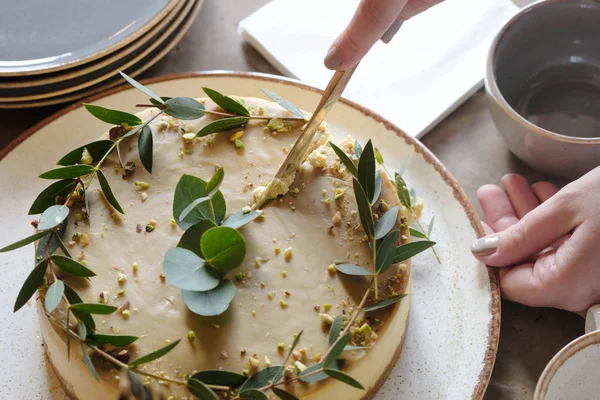 Kız pastayı bıçakla kesiyor. Klasik Rustik Cheesecake