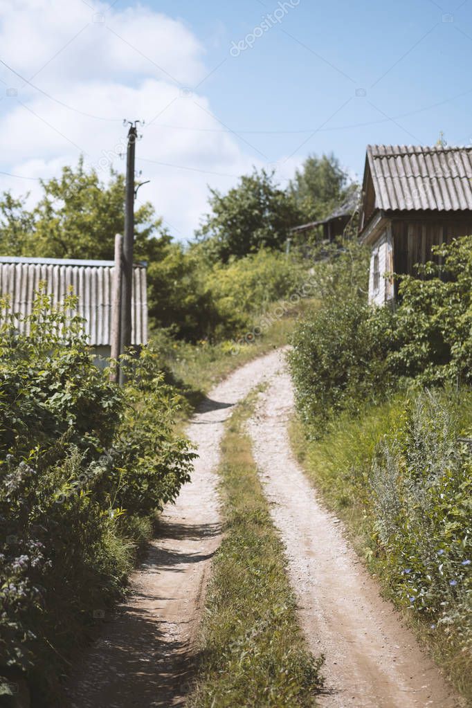 Country road through houses and tall grass