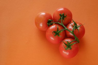Turuncu arka planda şube üzerinde olgun taze domates