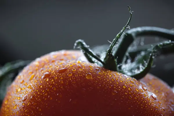 Extreme close-up van een natte rijpe tomaat. achtergrond van close-up beeld van een verse tomaat met waterdruppels — Stockfoto