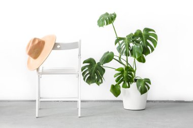 Monstera or Swiss Cheese plant in white flower pot standing on wooden stand and Camel color hat on a wooden chair on a light background. Modern minimal creative home decor concept, garden room clipart