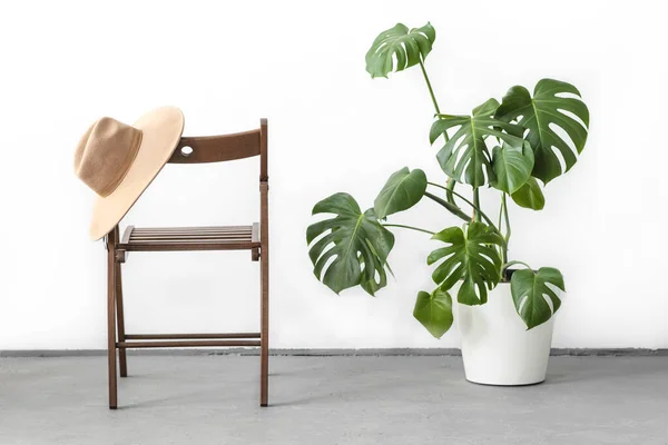 Monstera or Swiss Cheese plant in white flower pot standing on wooden stand and Camel color hat on a wooden chair on a light background. Modern minimal creative home decor concept, garden room