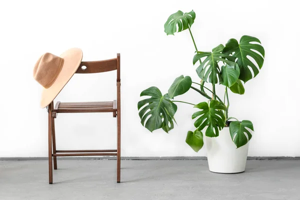 Monstera or Swiss Cheese plant in white flower pot standing on wooden stand and Camel color hat on a wooden chair on a light background. Modern minimal creative home decor concept, garden room