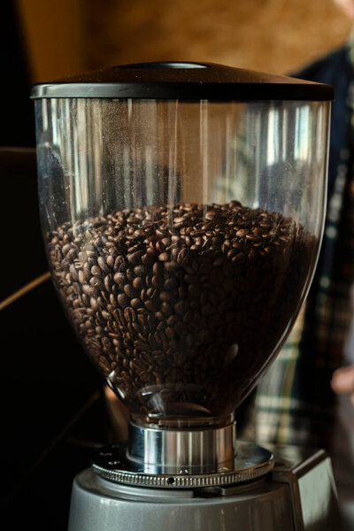 Coffee beans in an electric commercial coffee grinder in a cafe - professional barista. Concept of tasty aroma coffee culture, service, catering