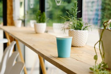 Üzerinde sıcak kahve olan mavi bir kağıt bardak bir kafedeki ahşap bir masanın üzerinde duruyor. Kafenin içinde Ripsalis kaktüsü (dal) ve diğer yeşil bitkiler bulunur. Kafenin manzarası..