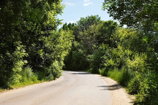 Vacker Trädkantad Väg Som Leder Skogen Solen Bryter Igenom Grenarna — Stockfoto