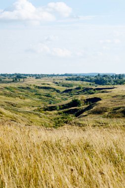 Güzel yaz kırsal manzarası: tarlalar, vadiler ve mavi gökyüzü. Yazın sakin yeşil bir manzara. Seyahat, turizm veya öğrenim kavramı.
