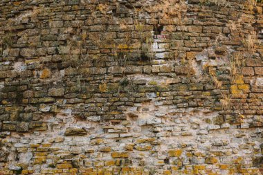 Eski tuğlaların dokusu. Çimen filizli, yakın plan tuğla duvar. Güzel arkaplan