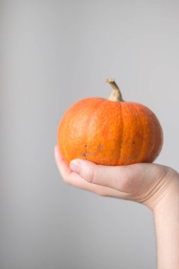 Beyaz arka planda kadın ellerinde balkabağı. Cadılar Bayramı ve Şükran Günü. Sonbahar konsepti. Sonbahar arkaplanı. Sonbahar sezonu.