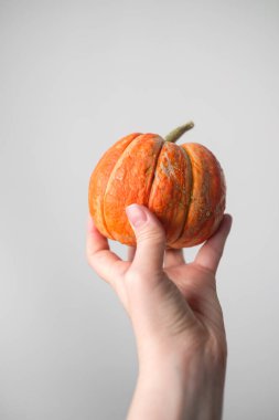 Beyaz arka planda kadın ellerinde balkabağı. Cadılar Bayramı ve Şükran Günü. Sonbahar konsepti. Sonbahar arkaplanı. Sonbahar sezonu.